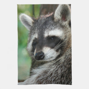 Linge De Cuisine Raccoon 001