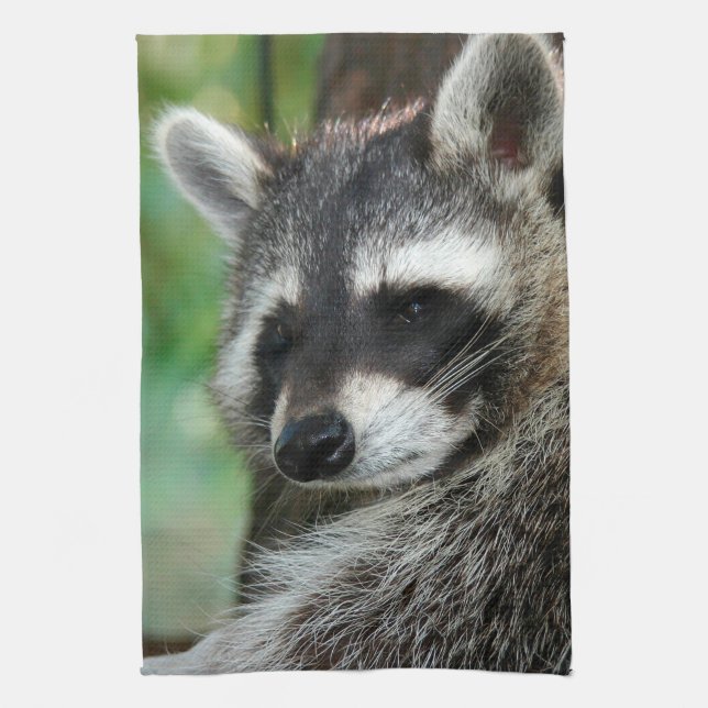 Linge De Cuisine Raccoon 001 (Vertical)