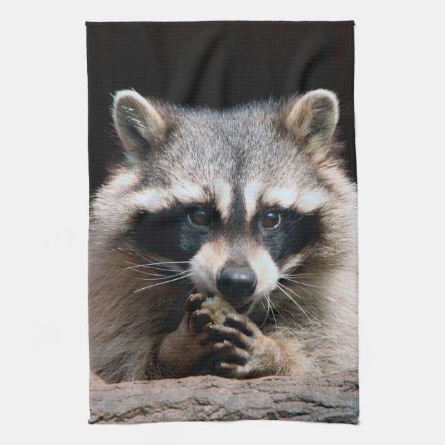 Linge De Cuisine Raccoon 004 (Vertical)