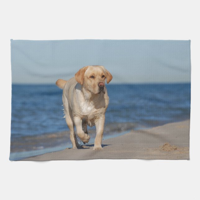 Linge De Cuisine Récupérateur de labrador jaune sur la plage (Horizontal)