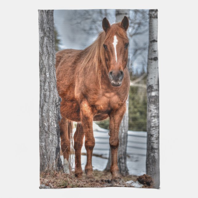 Linge De Cuisine Red Dun Ranch Horse Animal-lover Photo (Vertical)