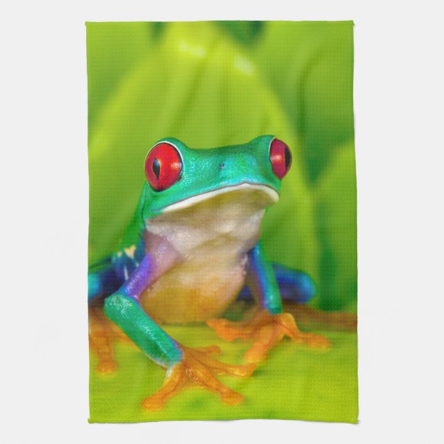 Linge De Cuisine Red-eyed tree frog, Costa Rica (Vertical)