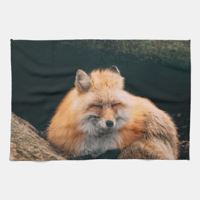 Linge De Cuisine Red Fox dormant (Horizontal)