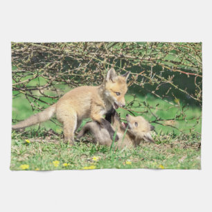 Linge De Cuisine Red Fox Kits Jouer