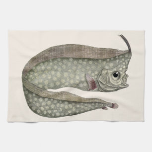 Linge De Cuisine Régalarie à crête, Poisson, Vie marine aquatique v