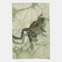 Remonter le crapaud dans l'eau
