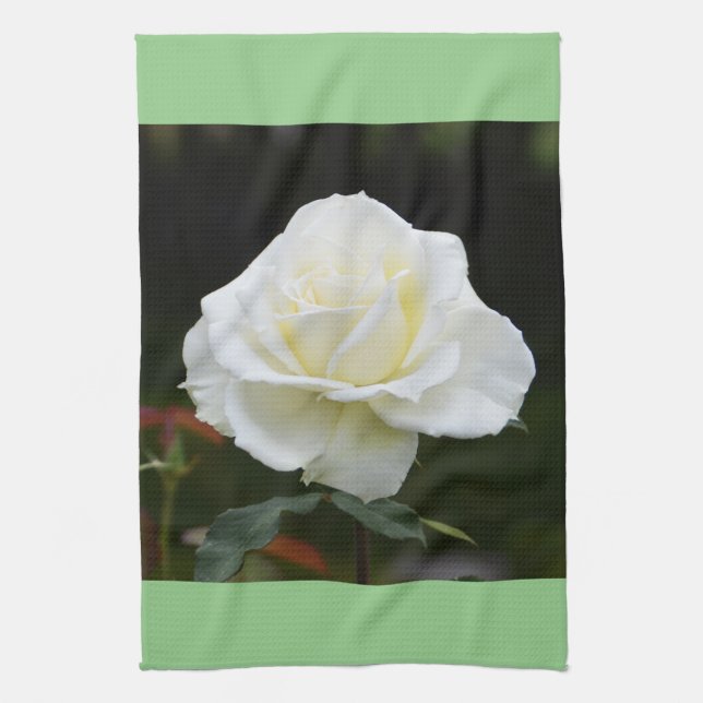 Linge De Cuisine Rose blanche (Vertical)