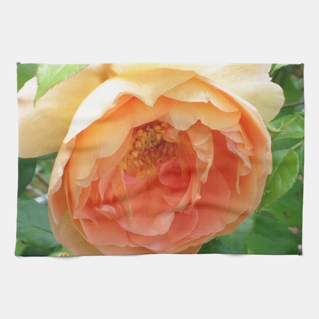 Linge De Cuisine Rose élégant blush orange (Horizontal)