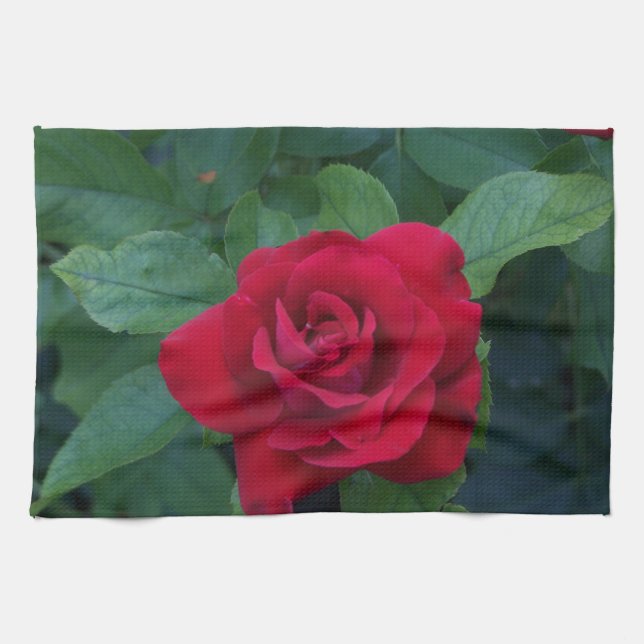 Linge De Cuisine Rose Rouge de Près (Horizontal)
