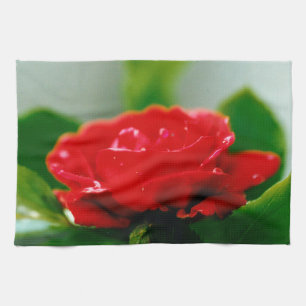 Linge De Cuisine Rose rouge du matin recouverte de gouttes de rosée