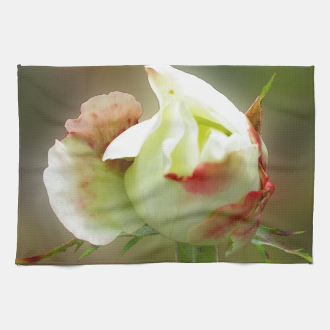 Linge De Cuisine rosebud brillant (Horizontal)