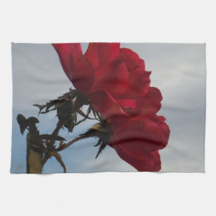 Linge De Cuisine Roses rouges contre un ciel bleu vif