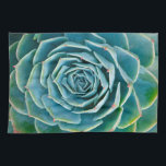 Linge De Cuisine Rosette d'Echeveria, Jardin Secret de Marrakech<br><div class="desc">Rosette d'Echeveria (Echeveria elegans),  une plante succulente semi-désertique originaire du Mexique,  Jardin Secret de Marrakech,  Medina de Marrakech,  quartier Mouassine,  Maroc.</div>