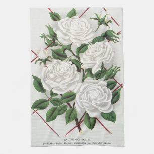 Linge De Cuisine Rosier grimpant blanc victorien antique de jardin