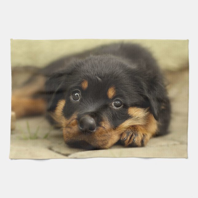 Linge De Cuisine Rottweiler20150901 (Horizontal)