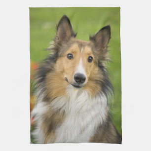 Linge De Cuisine Rough Collie, chien