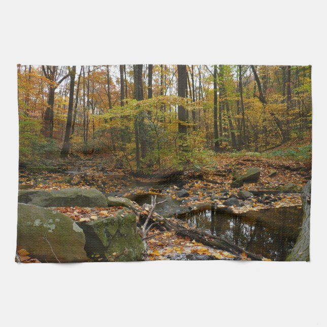 Linge De Cuisine Ruisseau de Fall avec reflet au parc Laurel Hill (Horizontal)