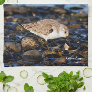 Linge De Cuisine Sanderling Dines sur Clam à la plage