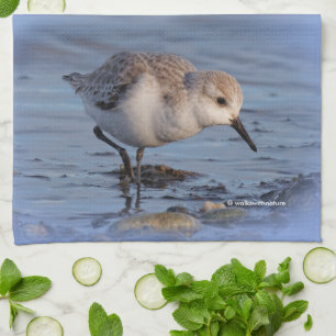 Linge De Cuisine Sanderling Flâner sur une plage d'hiver