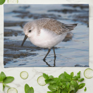 Linge De Cuisine Sanderling Flâner sur une plage d'hiver