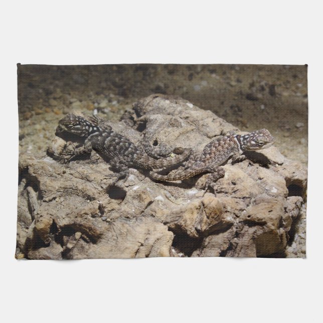 Linge De Cuisine Sceloporus cyanogenys (Horizontal)