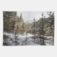Scene hivernale des montagnes neigeuses