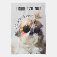 Shih Tzu Pas amusant mignon amoureux de les chiens