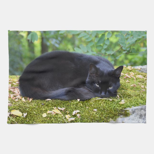 Linge De Cuisine Sooty le chat noir (Horizontal)