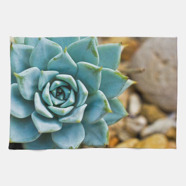 Linge De Cuisine Succulente (Horizontal)