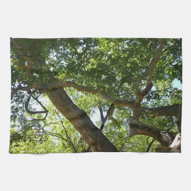 Linge De Cuisine Sycamore Tree Nature verte (Horizontal)