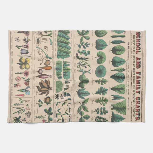 Linge De Cuisine Tableau de l'École de Botanique Antique Nature Vin (Horizontal)