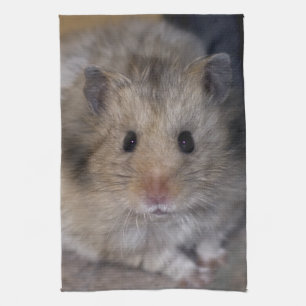 Linge De Cuisine Tablier de cuisine Hammie