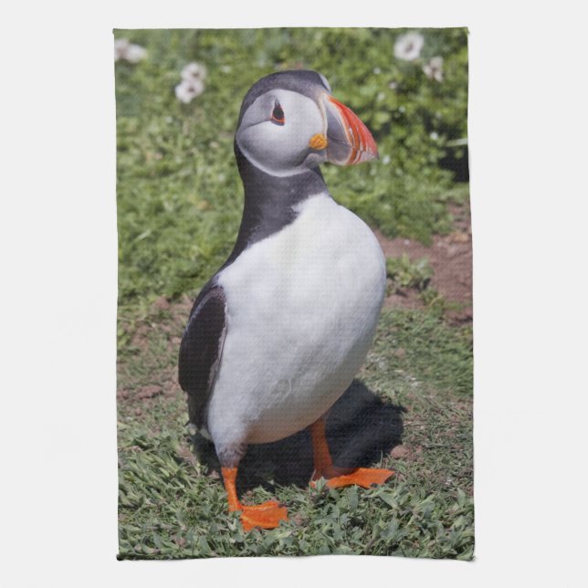 Linge De Cuisine Tablier de cuisine Puffin (Vertical)