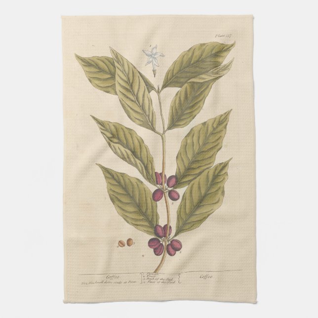 Linge De Cuisine Tablier de thé de Coffee d'Elizabeth Blackwell (Vertical)