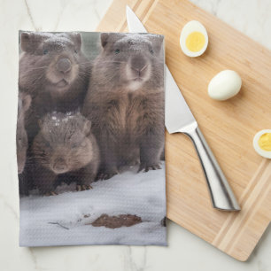 Linge De Cuisine Terrier gelé : famille de wombats australiens