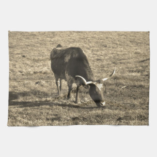 Linge De Cuisine Texas Longhorn Cattle Cow Photo Russe