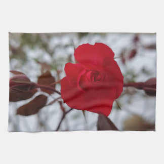 Linge De Cuisine The Heart of Winter