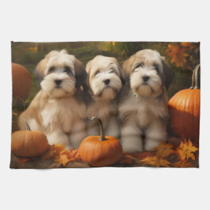 Linge De Cuisine Tibétain Terrier Chiot Automne Citrouille délice