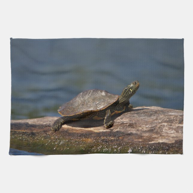 Linge De Cuisine Tortue peinte sur un bûcher (Horizontal)