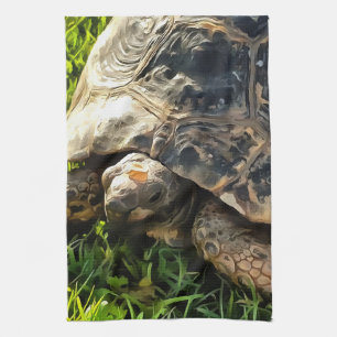 Linge De Cuisine Tortue Sauvage Dans L'Herbe Pré Art De La Faune