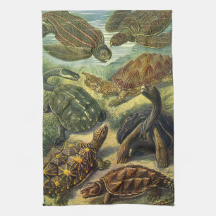 Linge De Cuisine Tortues terrestres et tortues marines vintage par 