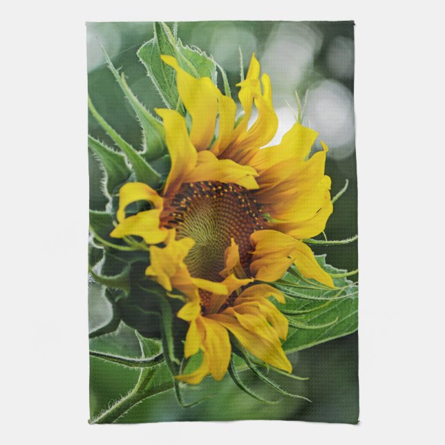 Linge De Cuisine Tournesol (Vertical)