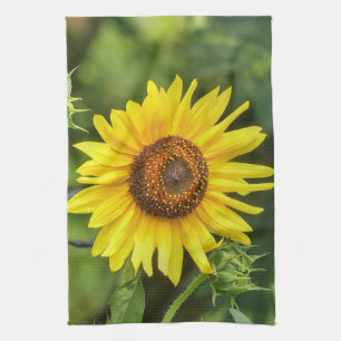 Linge De Cuisine Tournesol
