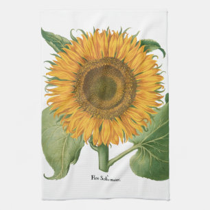 Linge De Cuisine Tournesol vintage par Basilius Besler