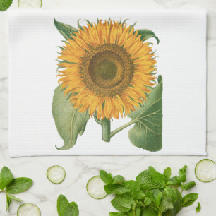 Linge De Cuisine Tournesol Vintage par Basilius Besler