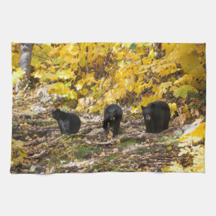 Linge De Cuisine Trois ours