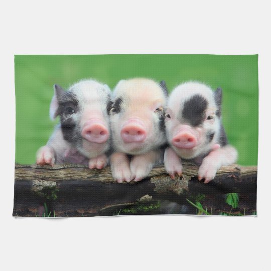 Linge De Cuisine Trois Petits Porcs Porc Mignon Trois Porcs Zazzle Fr