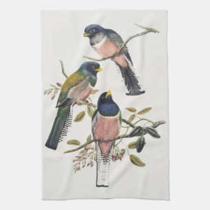 Linge De Cuisine Trois Trogon Vibrants Posés sur une Branche Art de