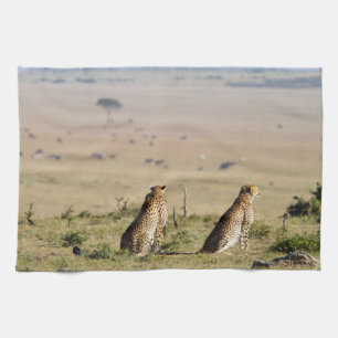 Linge De Cuisine Two cheetahs on the look out