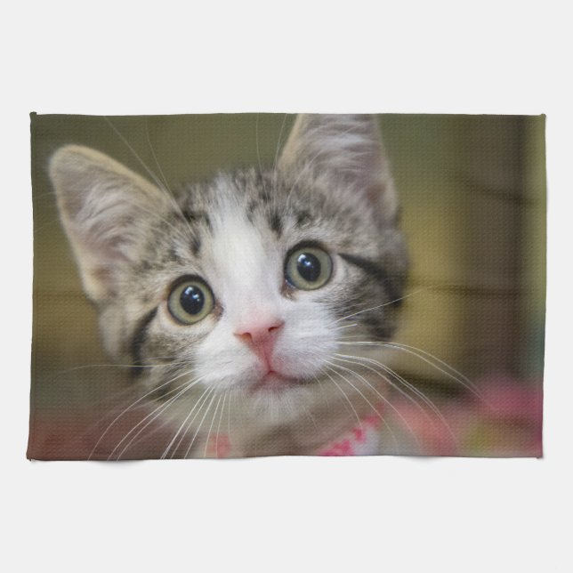 Linge De Cuisine Un chaton mignon avec des yeux verts (Horizontal)
